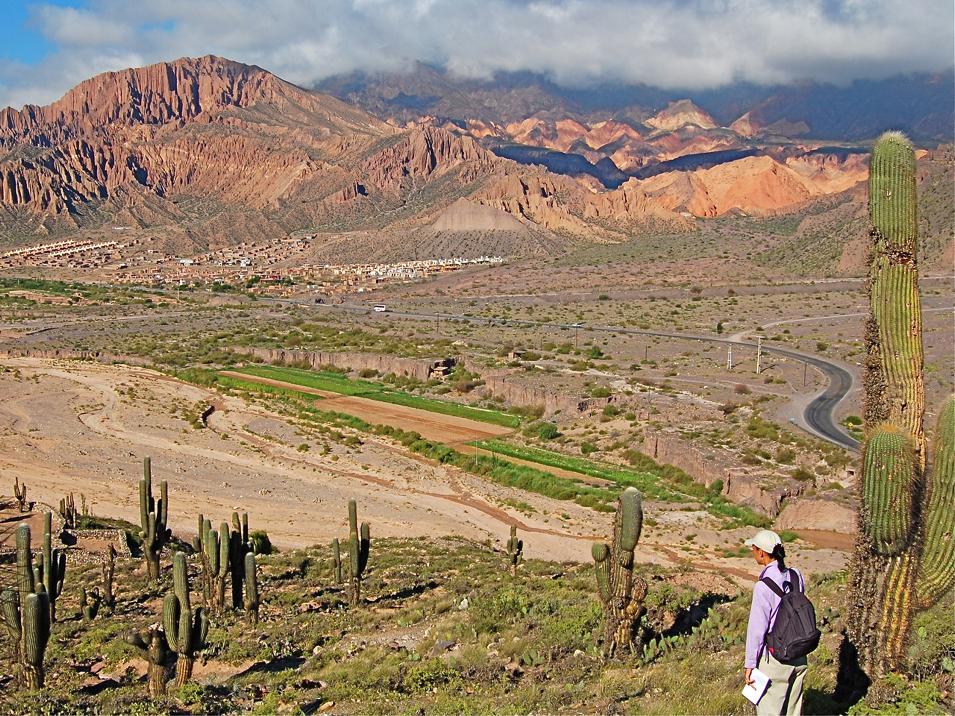 Day 4 - Salta