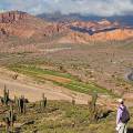 Winding road cutting through the rugged and rocky valley in Salta