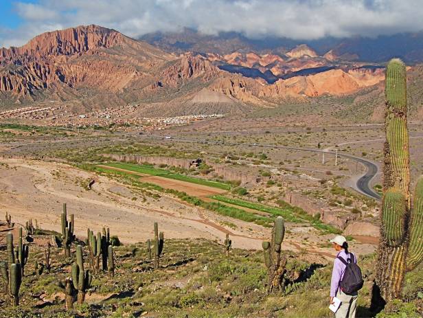 Winding road cutting through the rugged and rocky valley in Salta