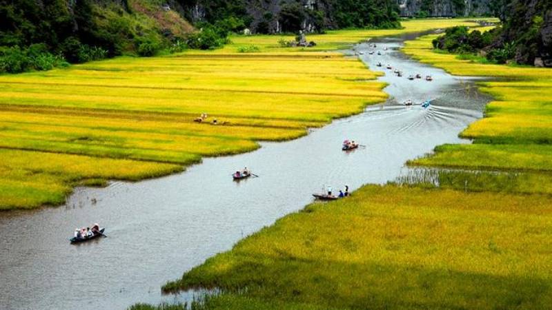 Full-Day Hoa Lu and Tam Coc DELUXE Tour from Hanoi, Including BUFFET Lunch
