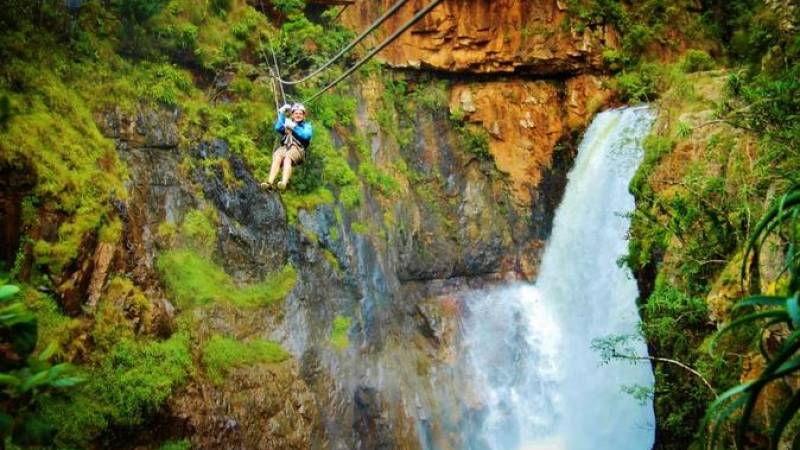 Zipline, Cheetahs and Wine