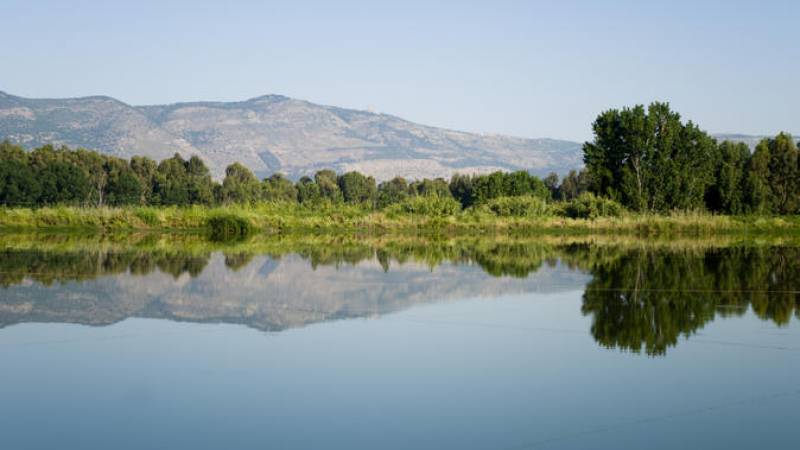 Golan Heights Day Trip from Tel Aviv