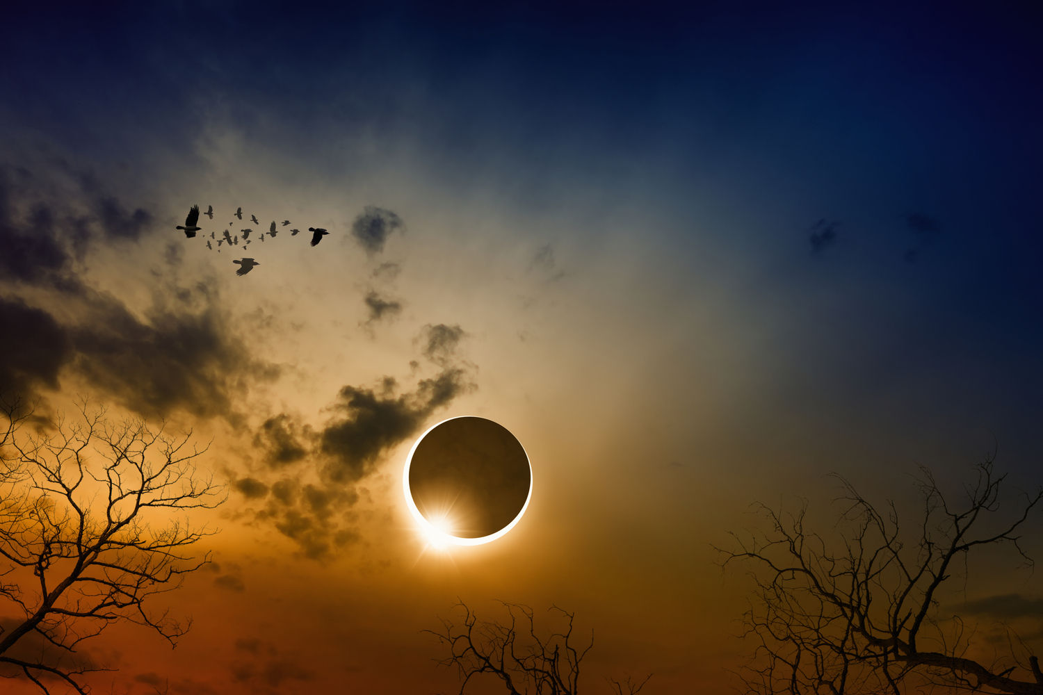 Magical Morocco from Tangier & Eclipse 2027