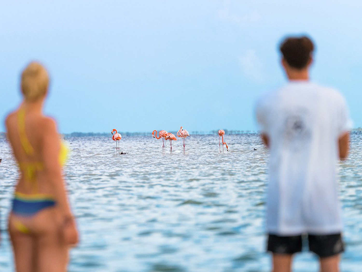 Day 10 - Isla Holbox