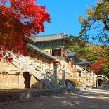 Bulguksa Temple | Gyeongju | South Korea