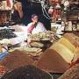 Marrakech Full-Immersion Day Tour with Lunch