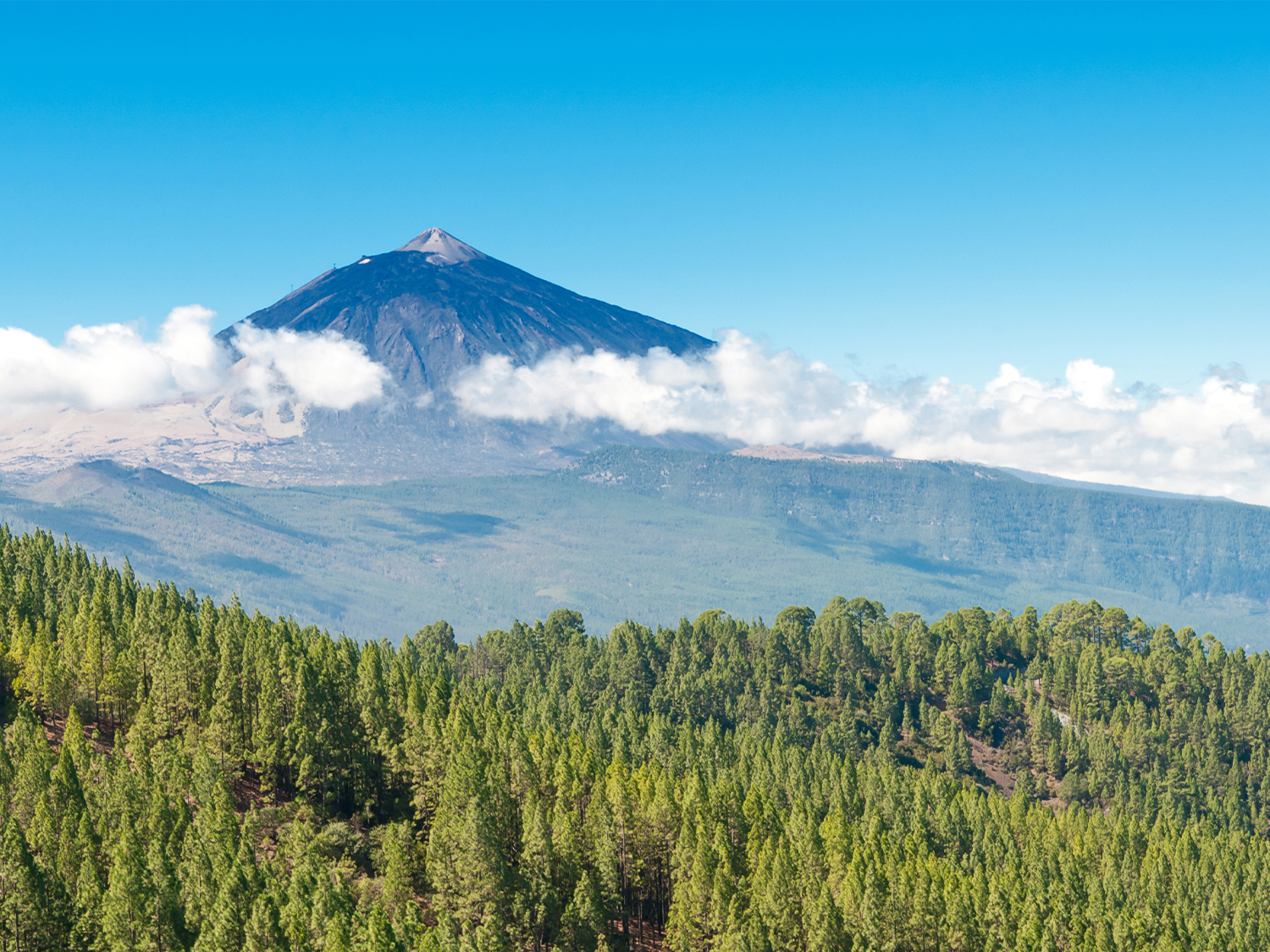 Day 6 - Mount Teide National Park
