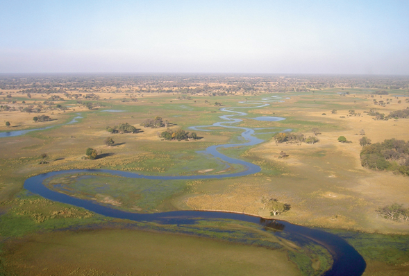 Aerial view of Okavango Delta