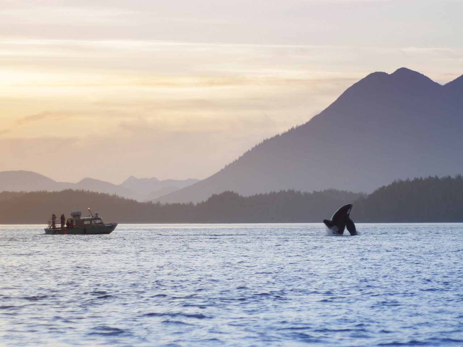 Day 10 - Campbell River