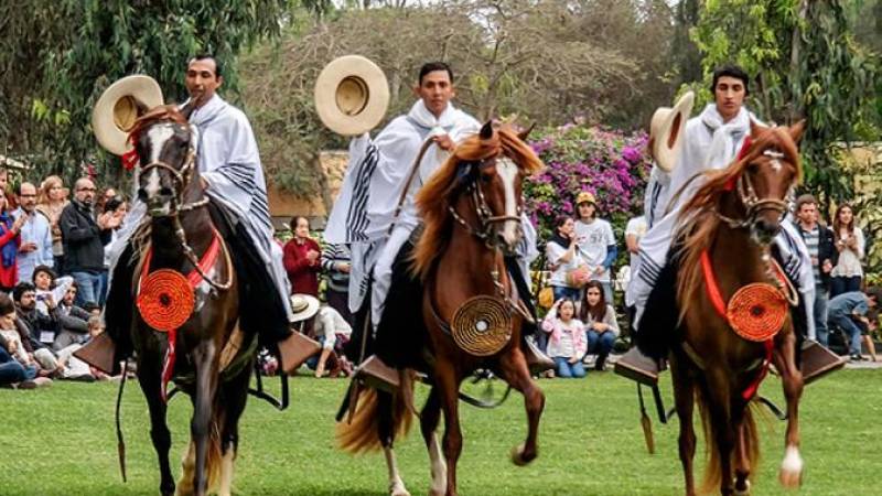 Pachacamac & Peruvian Paso Horse Show