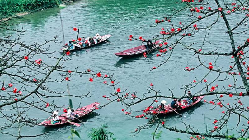 Perfume Pagoda Day Tour from Hanoi