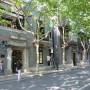 Shanghai French Concession Private Walking Tour