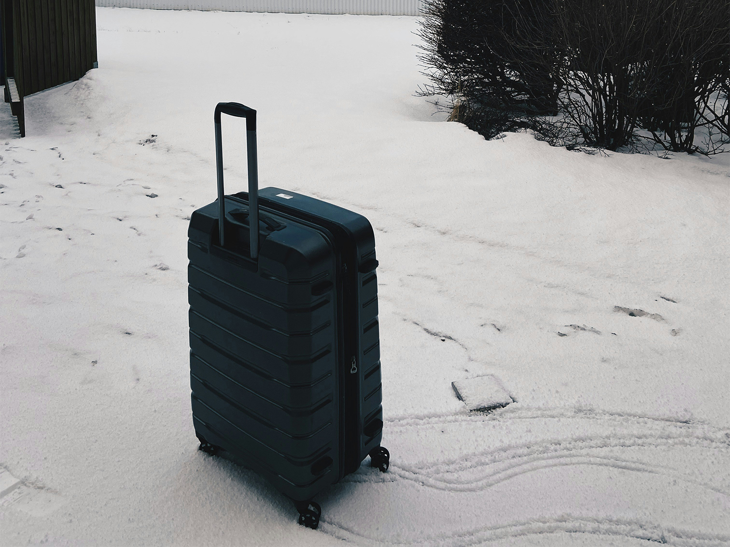 suitcase iceland
