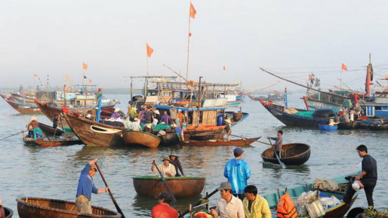 Sunrise Fish Market Tour in Hoi An