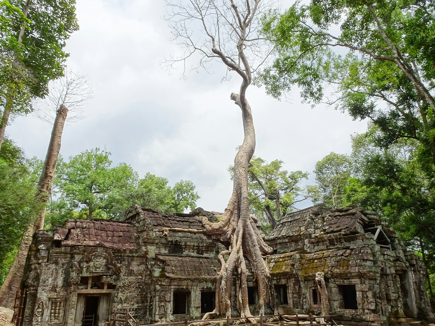 Day 8 - Siem Reap