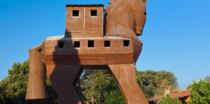 Trojan Horse in Troy 