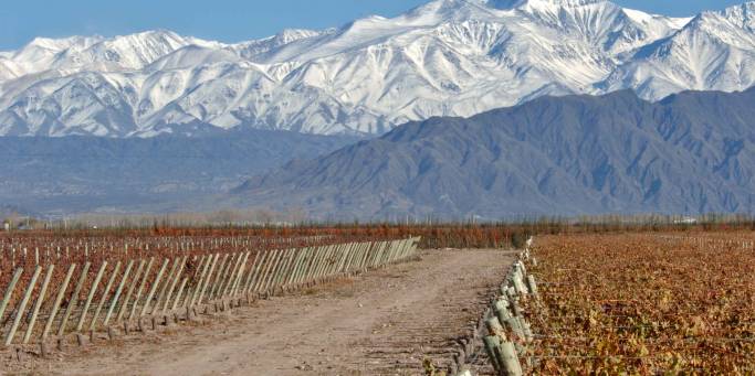 Visit the vineyards in Mendoza on our Argentina tours
