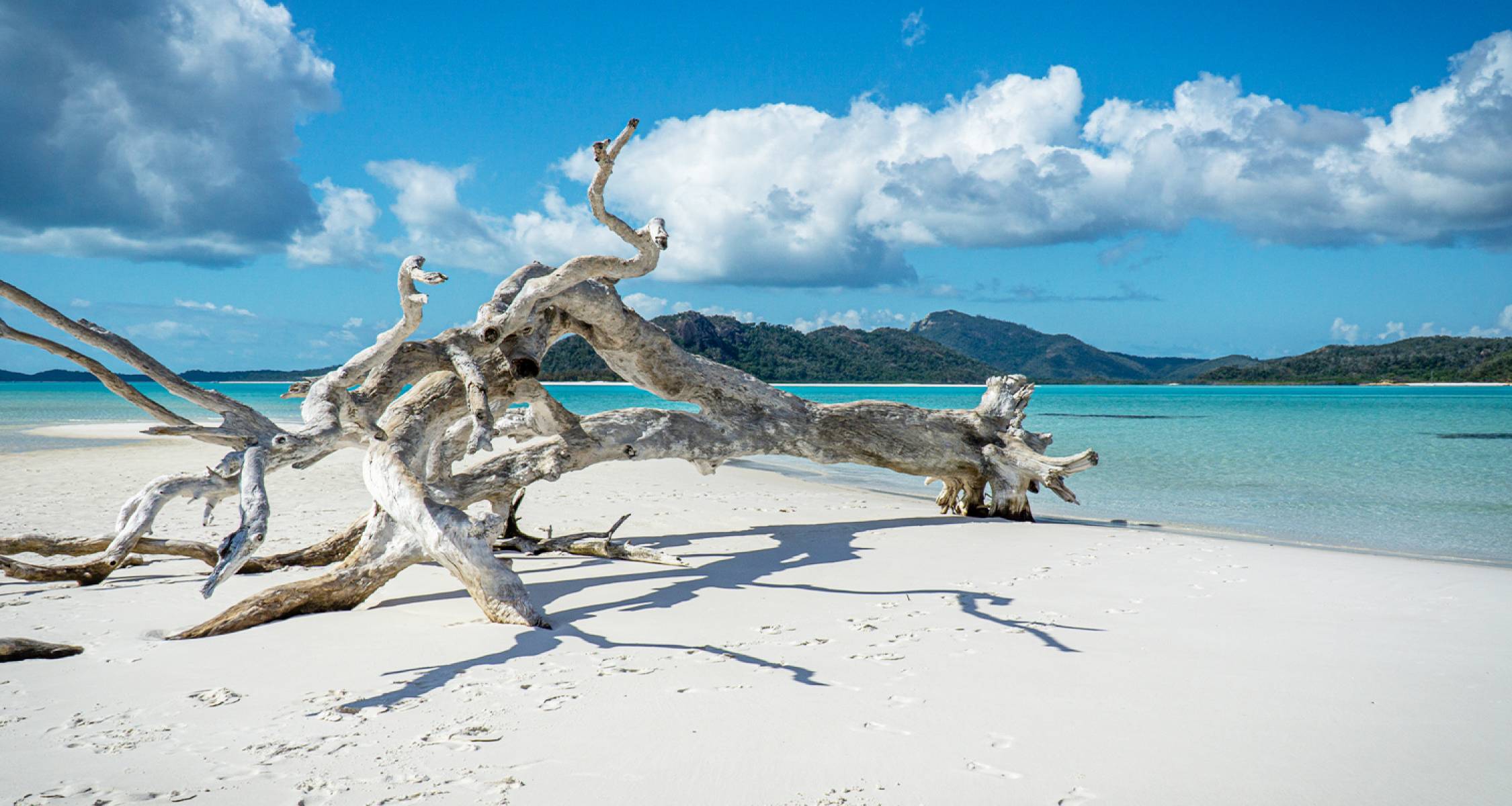 7-Day Group Tour Brisbane to Cairns On The Go Tours (From ZA)