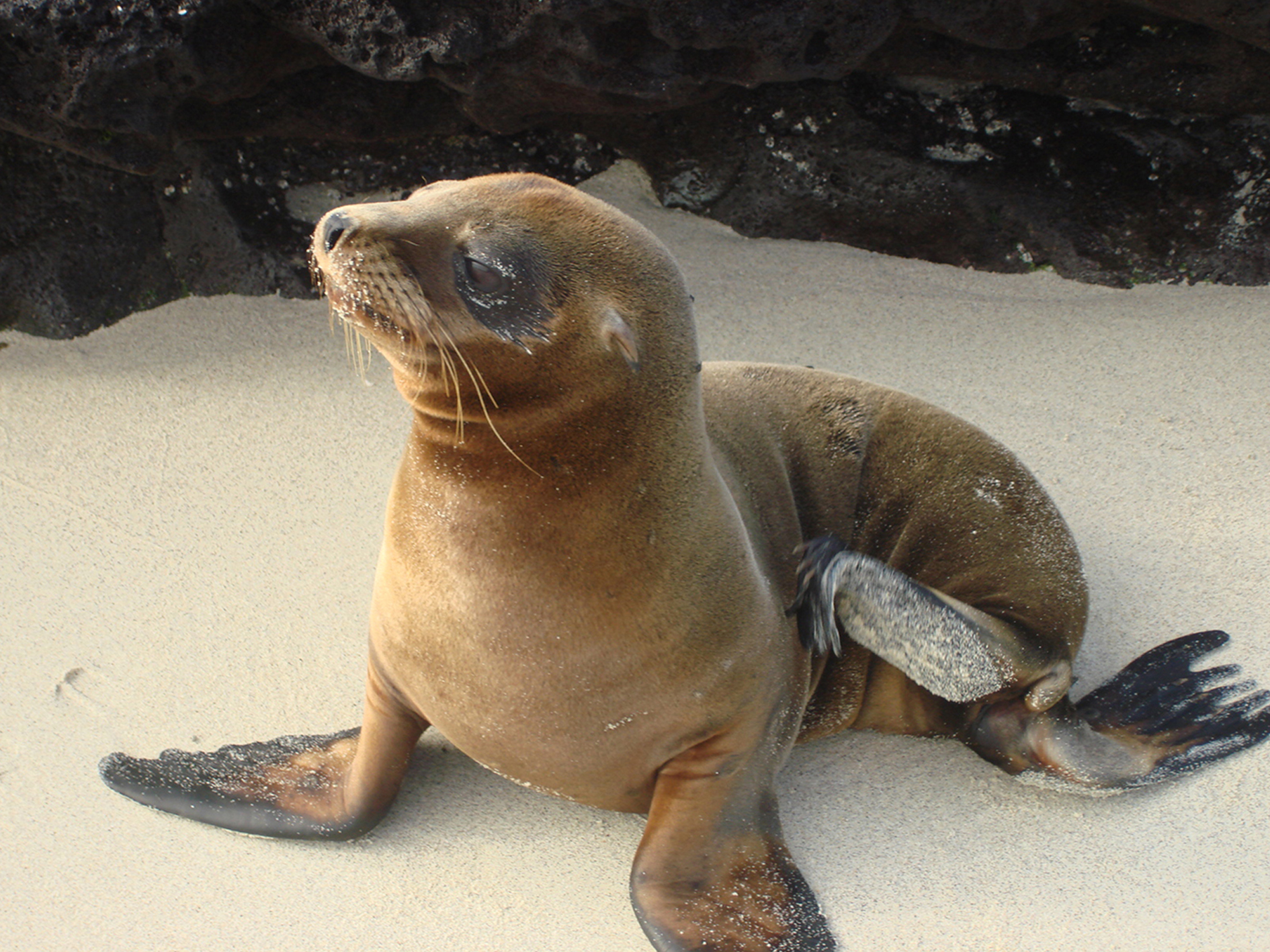 Day 5 - San Cristobal Island