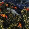 Marine iguana on a rock on the Galapagos Islands