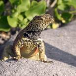 The Galapagos Islands | Ecuador | South America