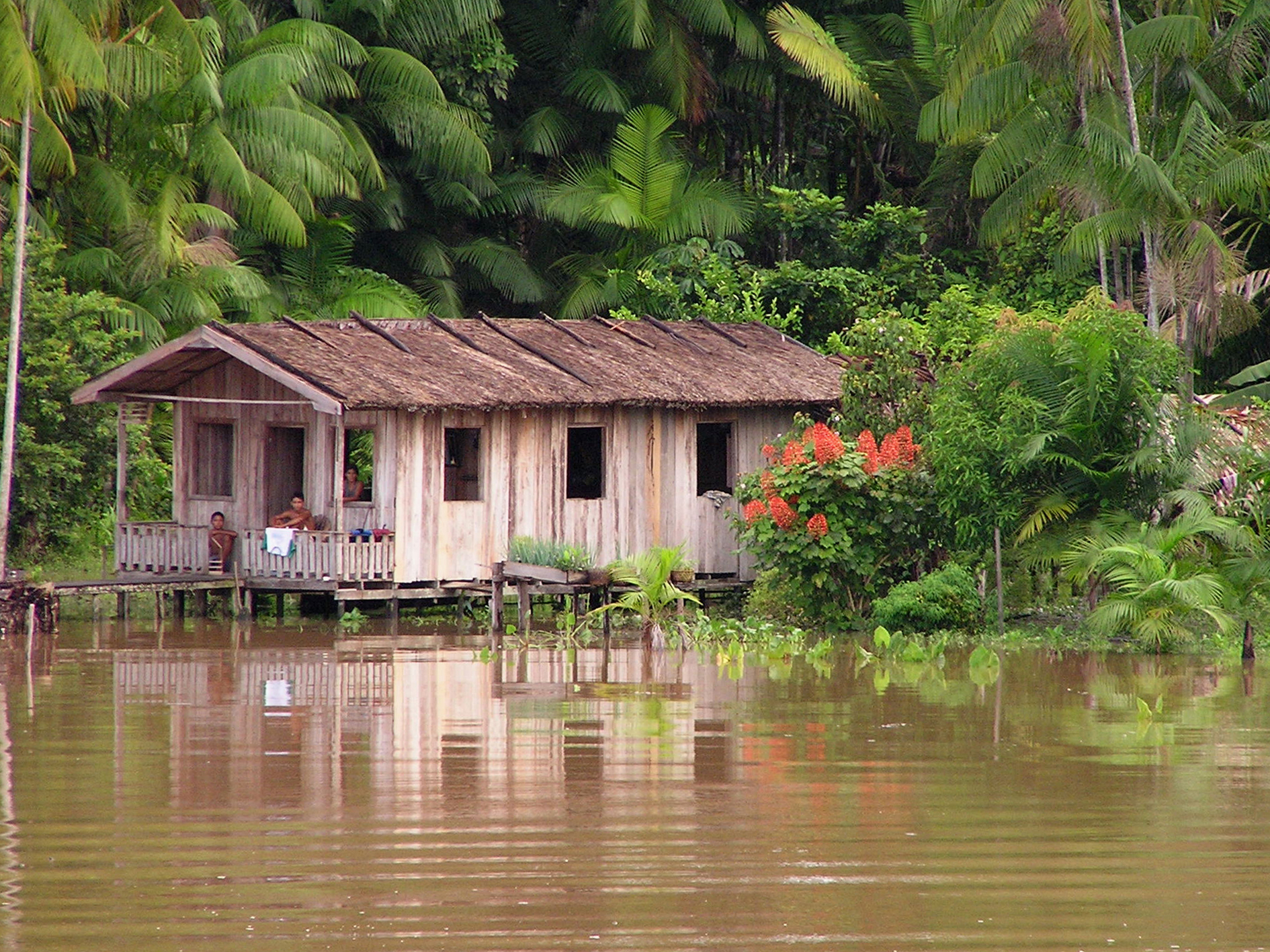 Days 2-4 - Amazon Jungle - Ecuador