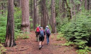 yosemite hiking - BINDLESTIFF TOURS ONLY